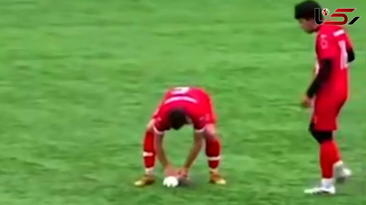 فیلم/ اتفاق عجیب در فوتبال ترکیه / شوتی که مرغ دریایی را هدف گرفت