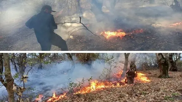 آتش به جان "جنگل رنگو" در گرگان افتاد + فیلم