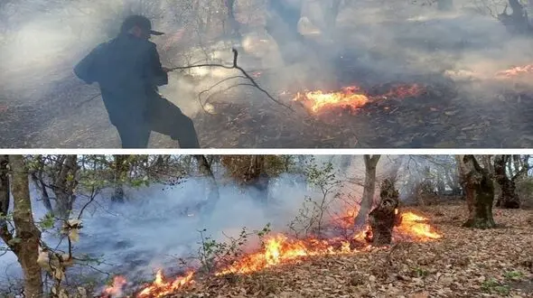 آتش به جان "جنگل رنگو" در گرگان افتاد + فیلم