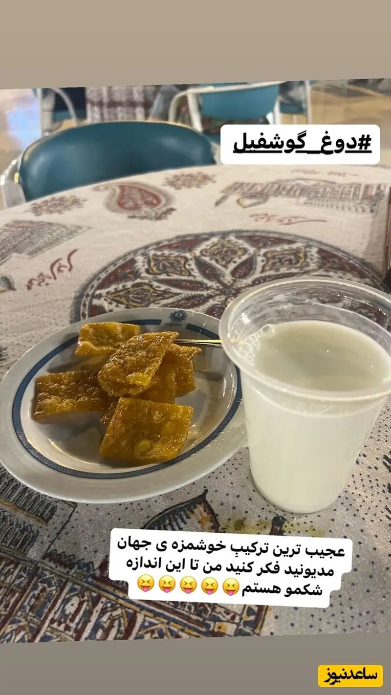 گوشفیل