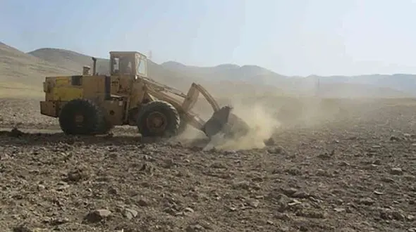 مرد خبیث در مزرعه گوجه‌فرنگی چه دسیسه ای داشت / پلیس بوشهر فاش کرد