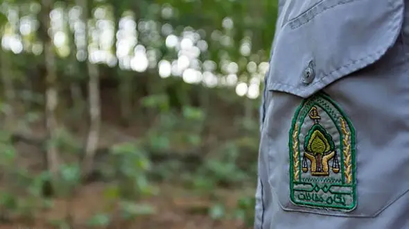 حمله قاچاقچیان چوب با تبر به دو جنگلبان مازندرانی