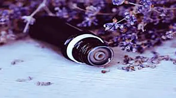 رایحه هاى شفابخش + طرز تهیه 