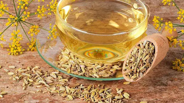 روش های مصرف رازیانه برای کاهش وزن 