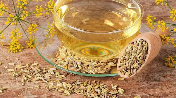 روش های مصرف رازیانه برای کاهش وزن 