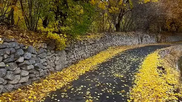 از زندگی شاد تا خوانسار زیبا