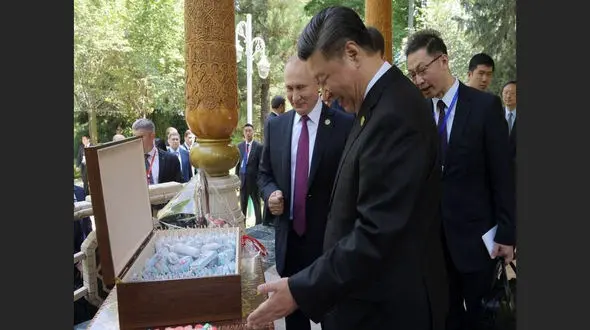  هدیه آبکی پوتین به مناسبت تولد رییس جمهور چین + عکس