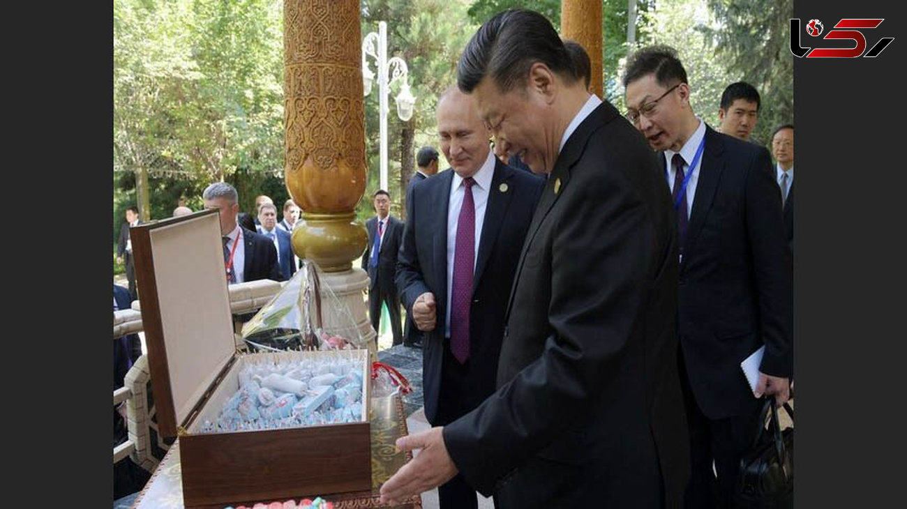  هدیه آبکی پوتین به مناسبت تولد رییس جمهور چین + عکس
