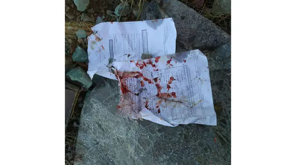 عکسی دردناک از سانحه رانندگی دانشگاه علوم تحقیقات+ عکس