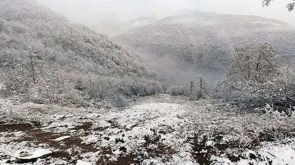 هواشناسی ایران ۱۴۰۳/۸/۱۱؛ ارتفاعات البرز در انتظار برف
