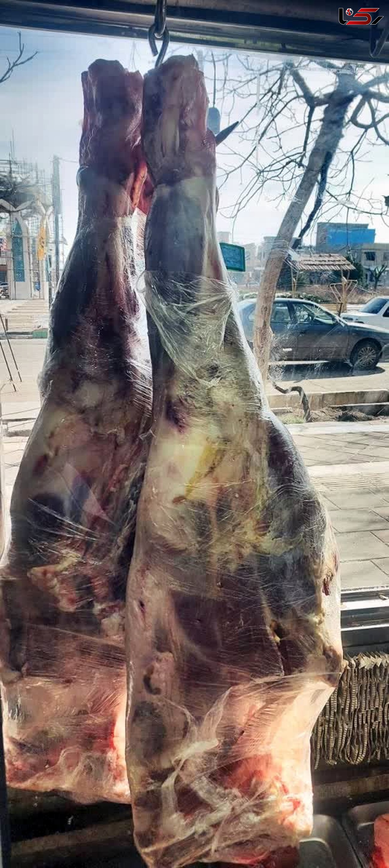 بیش از 400 کیلو گوشت گرم تاریخ گذشته در بوئین زهرا کشف و ضبط شد