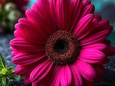 فال و طالع بینی امروز یکشنبه 3 اسفند 