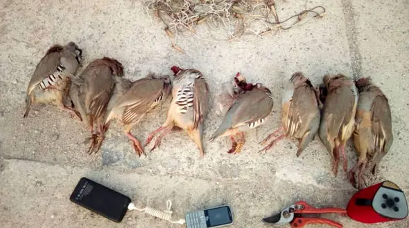 عکس / بی‌رحم ترین مرد بندرلنگه را بشناسید! 