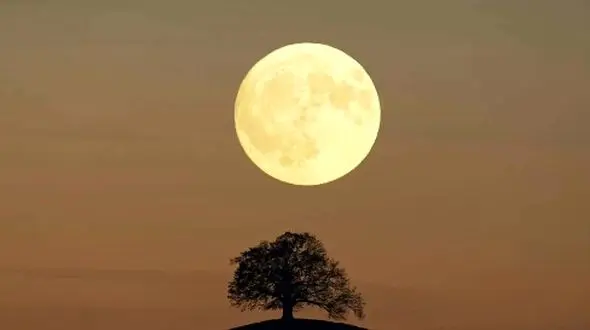 شنبه‌ ای رویایی در پیش است: ماه، ماه‌ تر از همیشه!