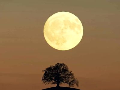 شنبه‌ ای رویایی در پیش است: ماه، ماه‌ تر از همیشه!