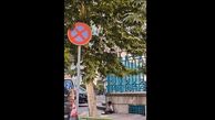 فیلم زورگویی به کودکان در کف خیابان های تهران/ قانون حمایت از کودکان دکور نیست، لازم الاجرا است