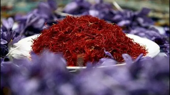 مرگ تدریجی طلای سرخ ایرانی