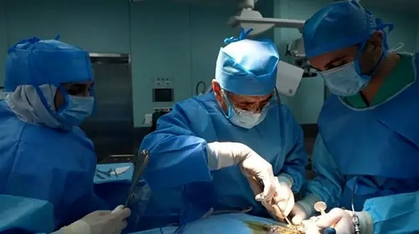 هشدار متخصصان جراحی لاغری: بوتاکس معده روشی غیراستاندارد و پرعارضه برای کاهش وزن است