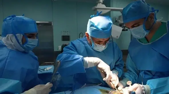 توضیح وزارت بهداشت از آسیب‌دیدگان چشمی اعتراضات دی ماه:بخشی از ناحیه چشم و مغز دچار آسیب شده بودند/ برای بازگشت بخشی از بینایی باید چند ماه و حتی چند سال تحت درمان باشند