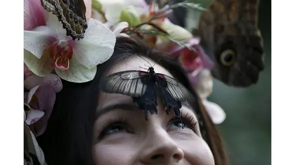 این زن با پروانه ها زندگی می کند+ تصاویر 