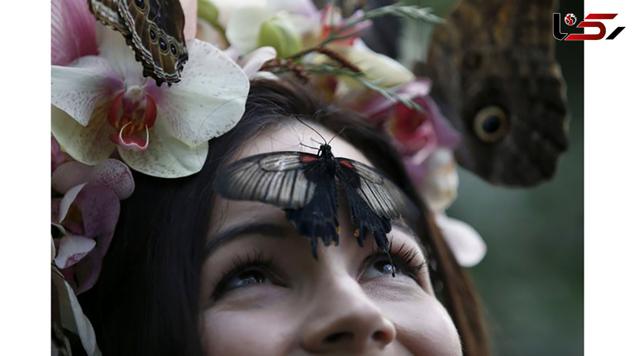 این زن با پروانه ها زندگی می کند+ تصاویر 