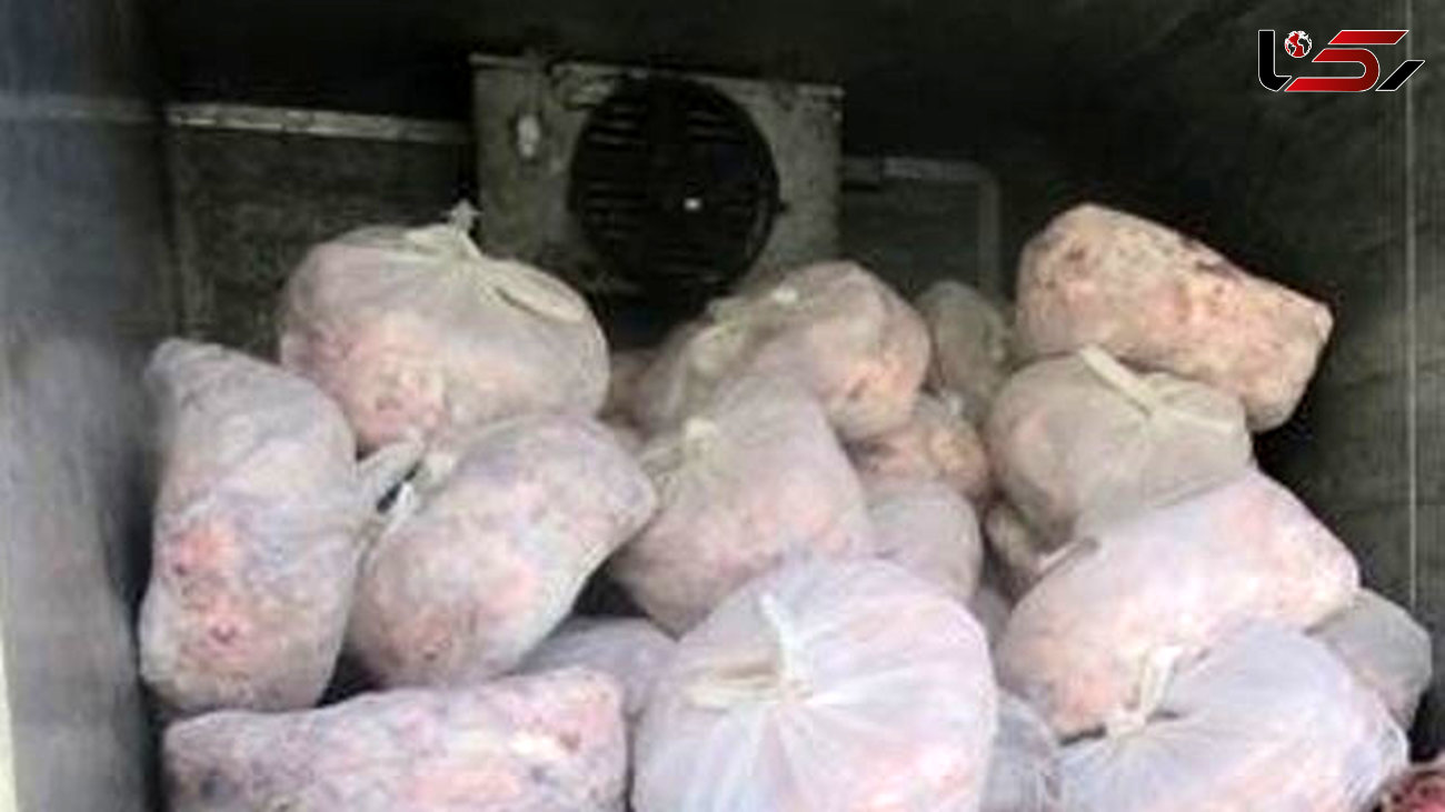 کشف 450 کیلوگرم گوشت فاسد مجوز در"اقلید"