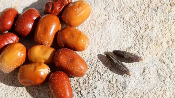 کلسیم خانگی بساز 