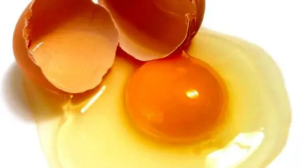 پوست تخم مرغ جادوی  زیبایی دندان ها