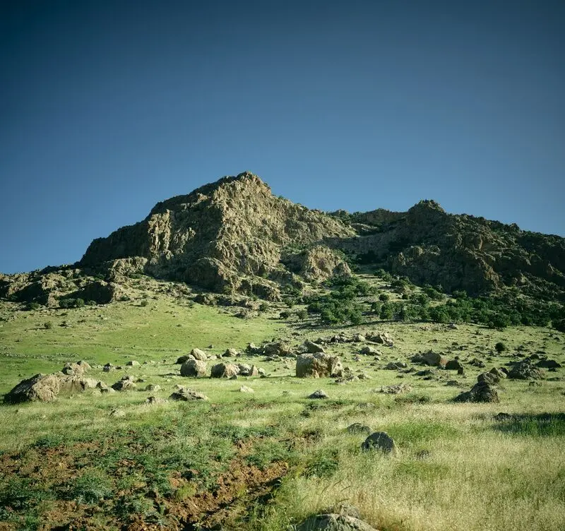 کمپین همدلی و ایستادگی بلوط