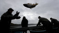 مراسم صید ماهی کپور در جمهوری چک + تصاویر