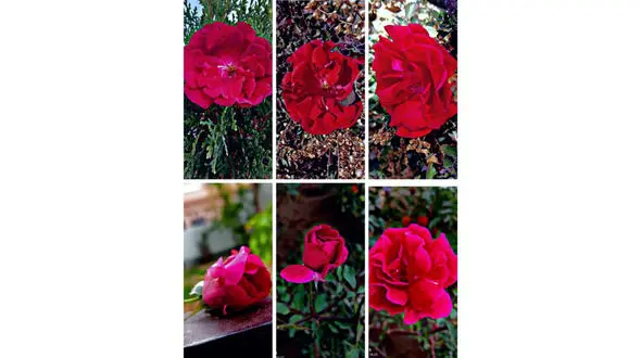 فال روزانه شخصی / 23 اسفند ماه + فیلم