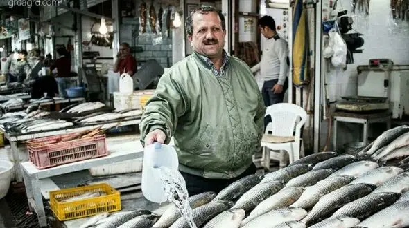 قیمت انواع ماهی در بازار