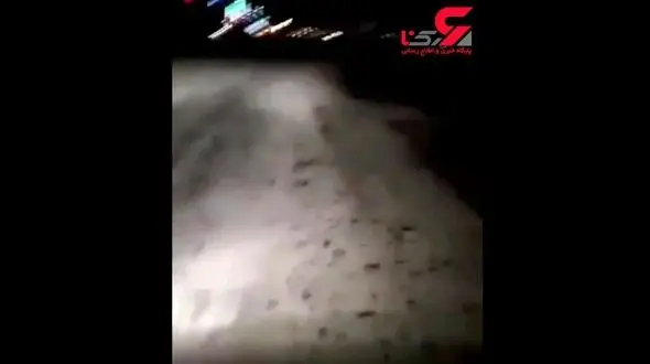  لحظه هجوم ملخ ها شب گذشته در استان ایلام +فیلم