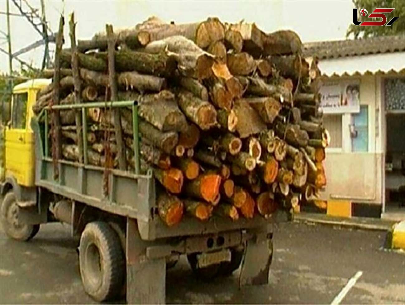 کشف 15 تن چوب قاچاق در آستانه‌اشرفیه