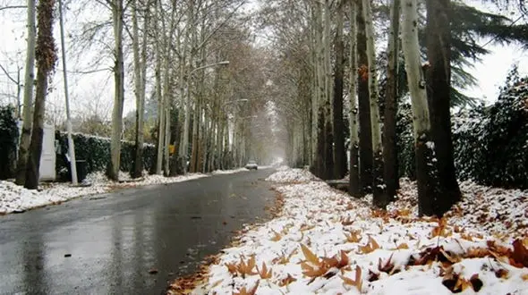 هشدار هواشناسی به بارش باران و برف در برخی از استان ها / کاهش محسوس دما در نیمه شمالی کشور 