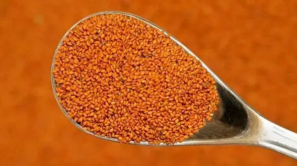چرا باید خاکشیر را در برنامه غذایی روزانه خود قرار دهیم؟