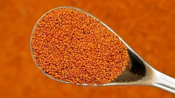 چرا باید خاکشیر را در برنامه غذایی روزانه خود قرار دهیم؟