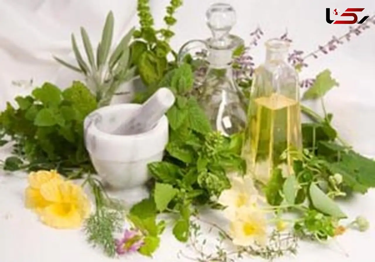شوفاژ گیاهی برای گرم ماندن در زمستان