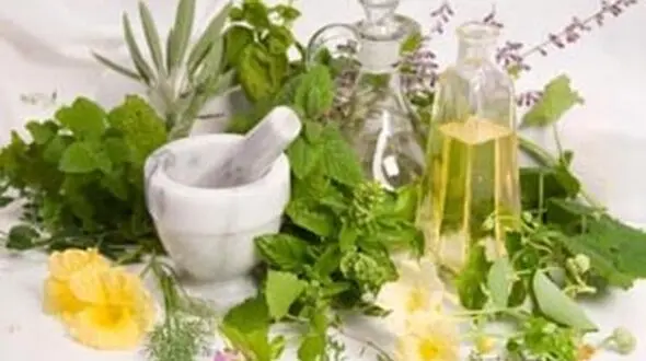 شوفاژ گیاهی برای گرم ماندن در زمستان