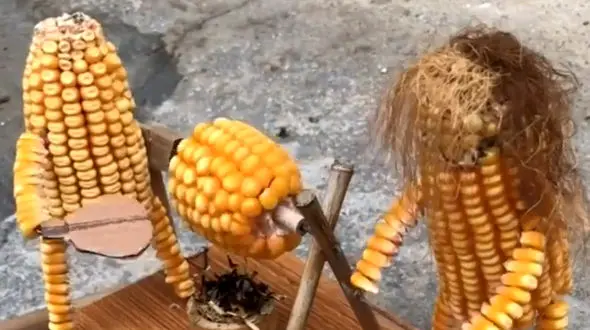 خودسوزی بلال ها + فیلم