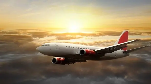 یخ‌زدن هواپیما در فرودگاه مونیخ! + فیلم 