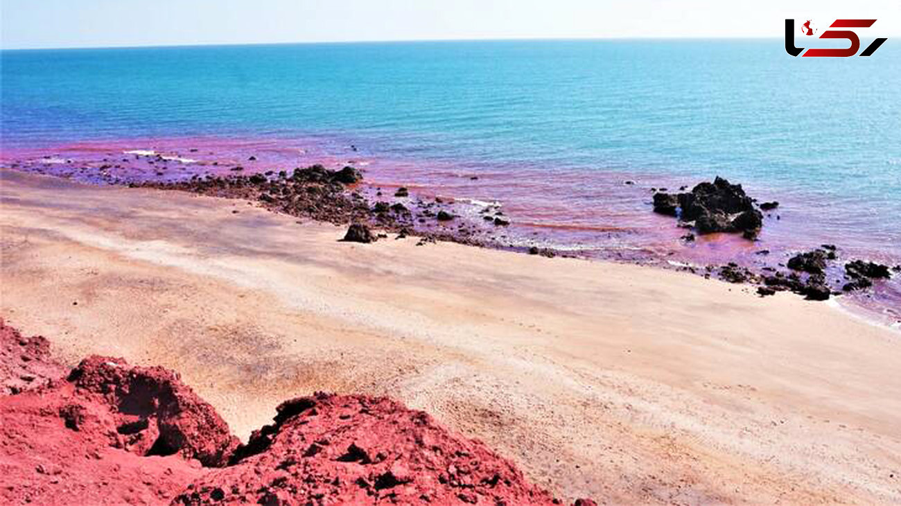 ساحل در خلیج فارس به رنگ خون درآمد+عکس
