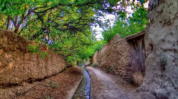 فیلم/ کوچه باغ‌های زیبای شهر تفت در یزد 