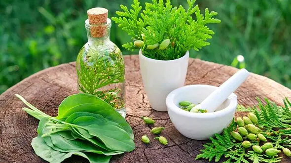توصیه‌های طب سنتی ایرانی برای کاهش استرس
