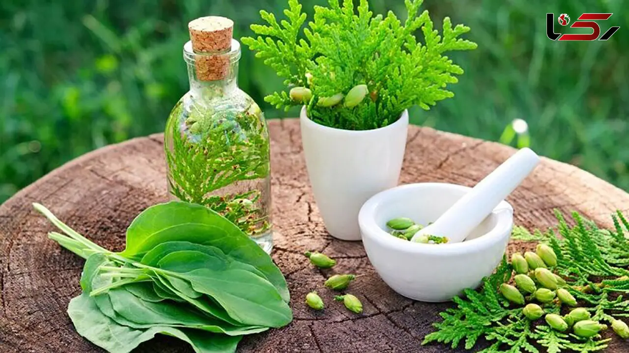 توصیه‌های طب سنتی ایرانی برای کاهش استرس