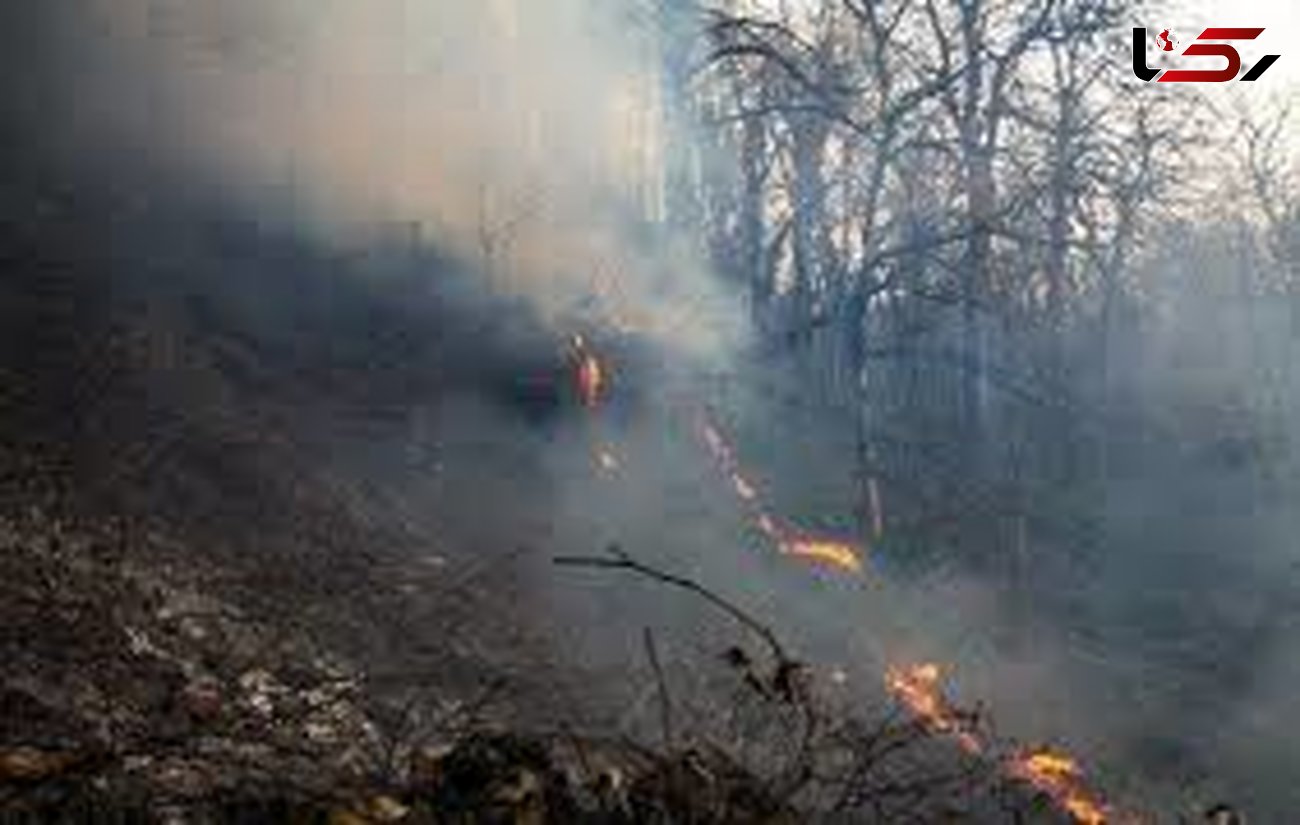 آتش سوزی جنگل‌های گلوگاه
