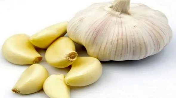 با این معجون قلب تان مثل ساعت کار می کند