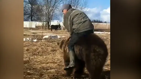 فیلم دیدنی از کشتی گرفتن خرس قهوه ای با مرد کشاورز / عجیب و باورنکردنی