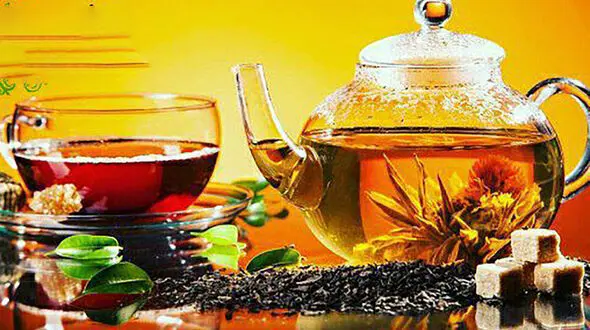 مشکلات رایج هر گروه خونی + دمنوش مناسب هر گروه خونی 