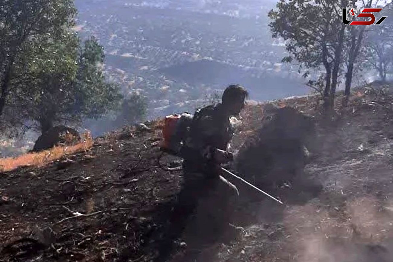  مهار کامل آتش‌سوزی جنگل چال‌بنی دارشاهی